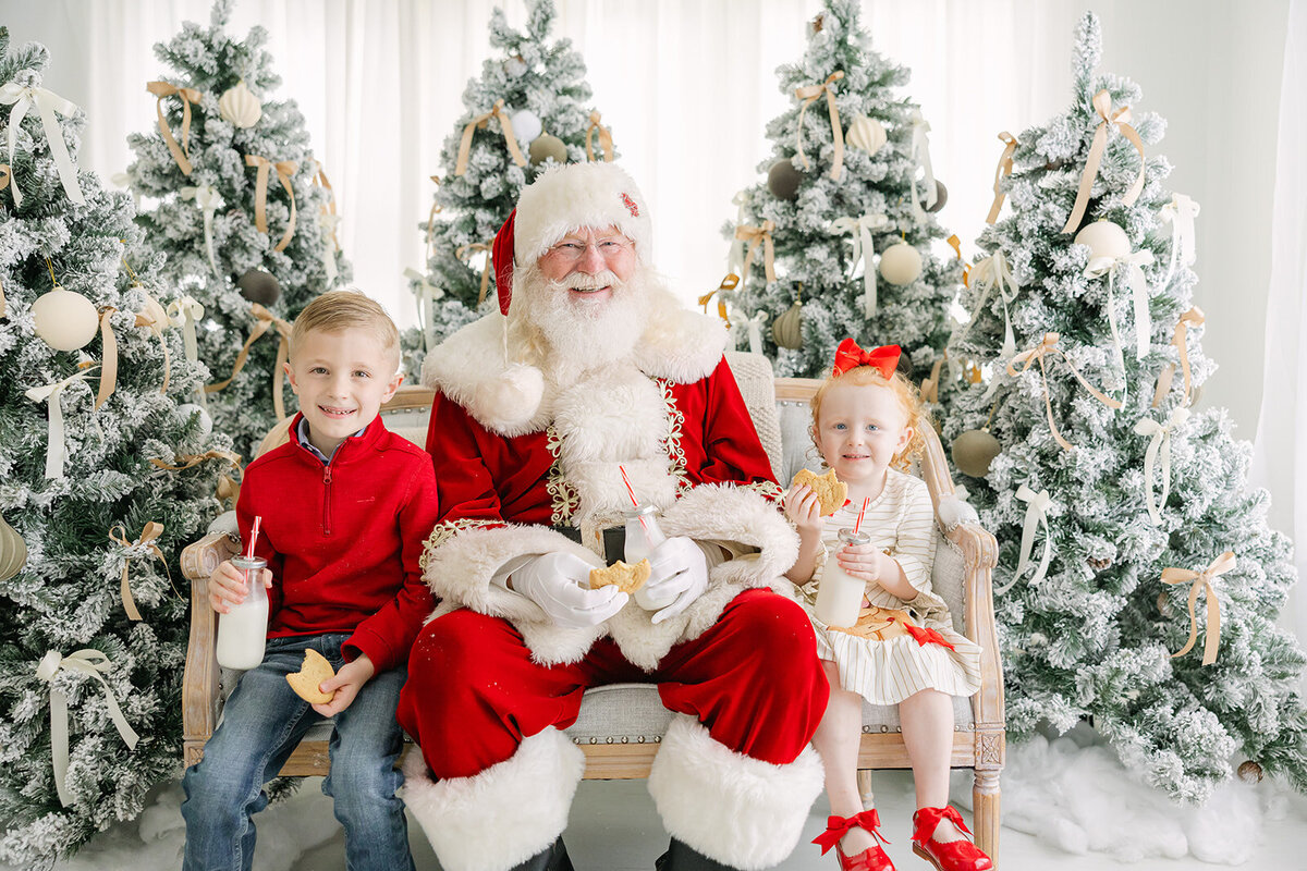 Santa Photographer in Houston- Santa - 2024-29