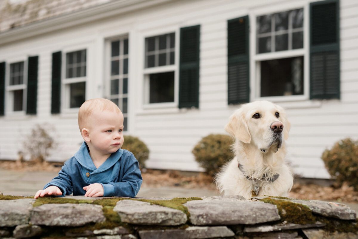 boston-portrait-photographer-in-home-portraits-first-birthday-milestone-session-lifestyle-child-portraits-backyard-dog