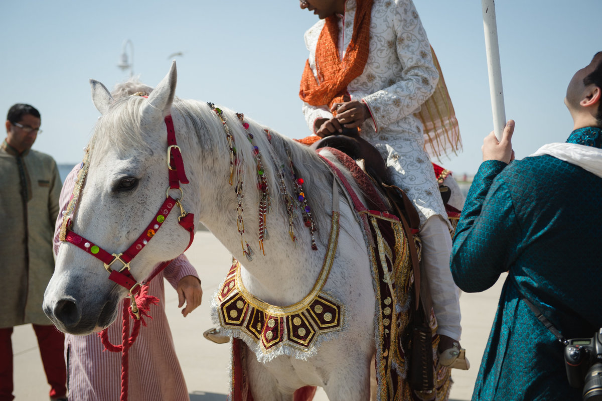 Horse, Documentary Wedding Photography, Milwaukee, Discovery World Wedding