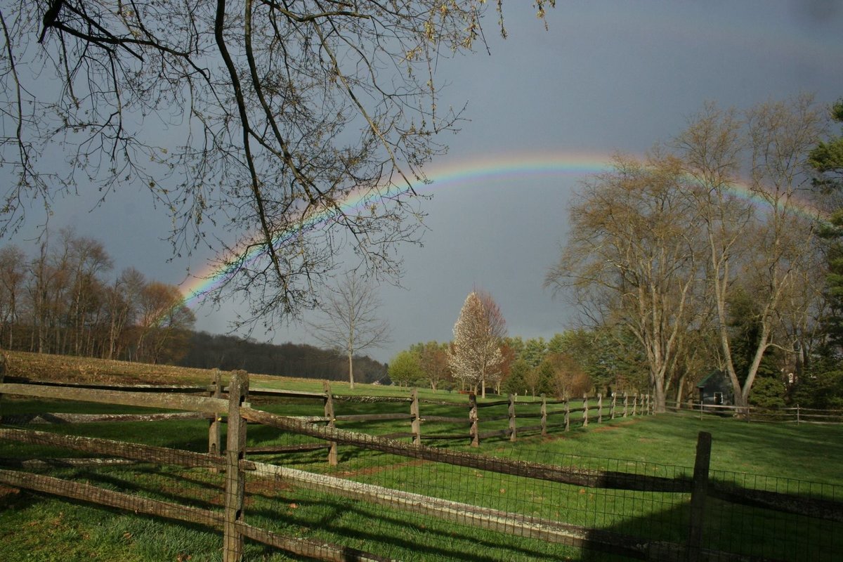 philadelphia rainbow