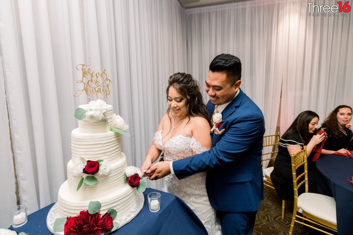 Husband and Wife cutting the wedding cake