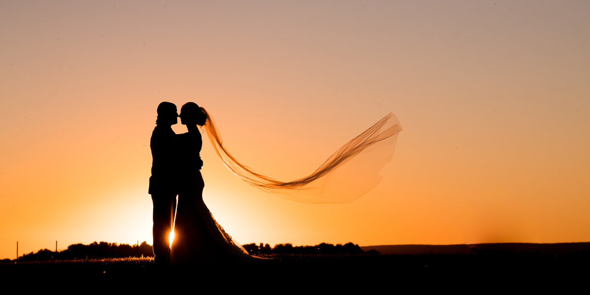 Folino Estate Wedding  photography silhouette