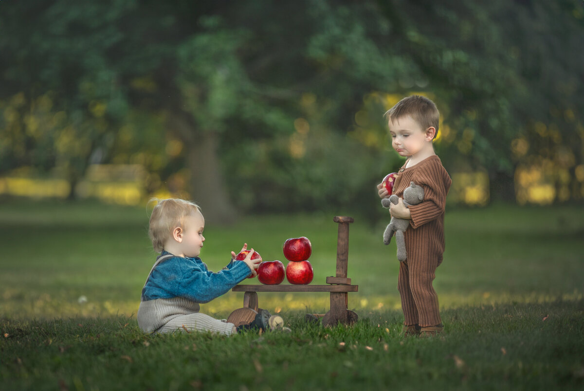 Two toddler boys playing with apples during there portrait session  in ottawa ontario