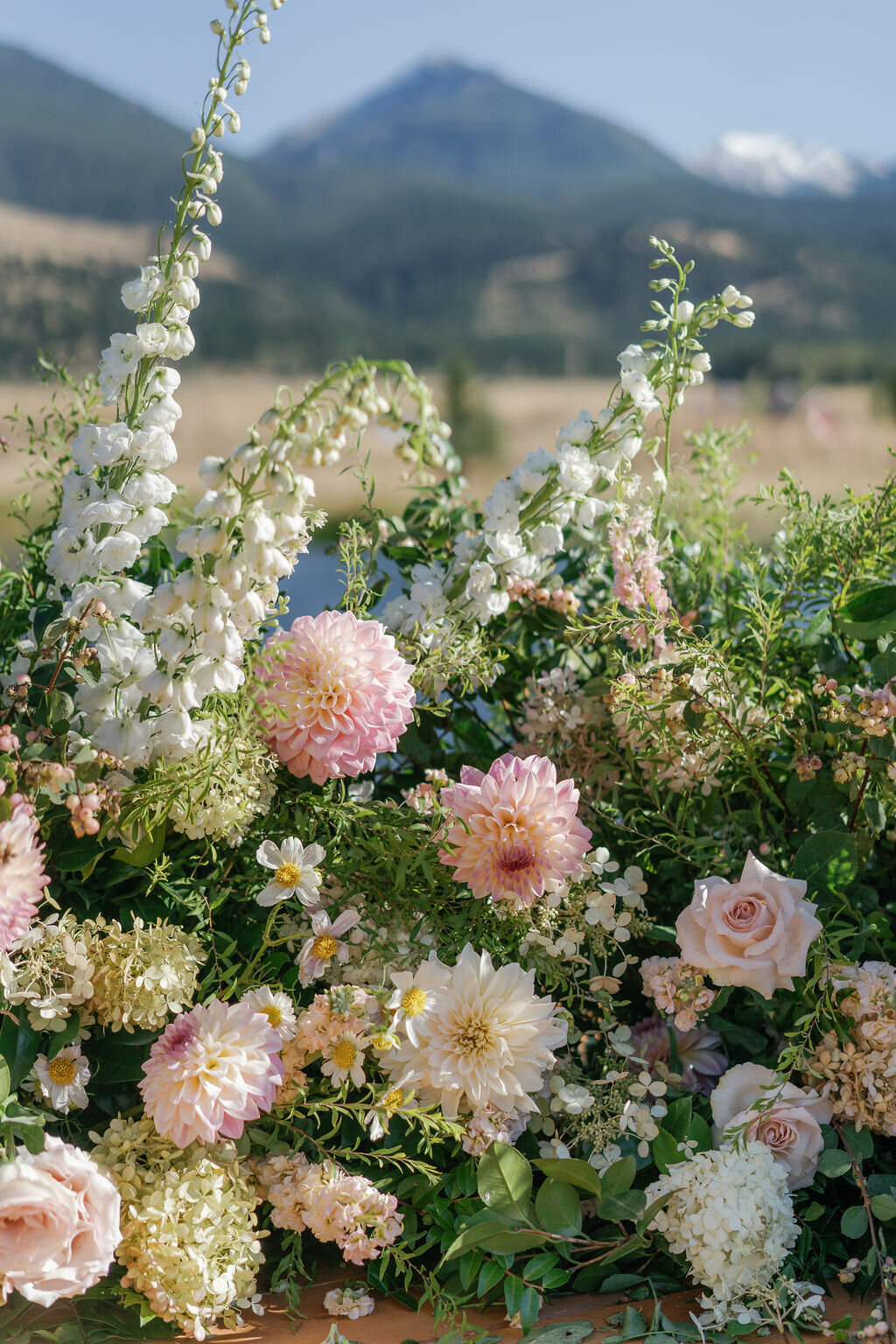 Copper Rose Ranch_Troy Meikle29