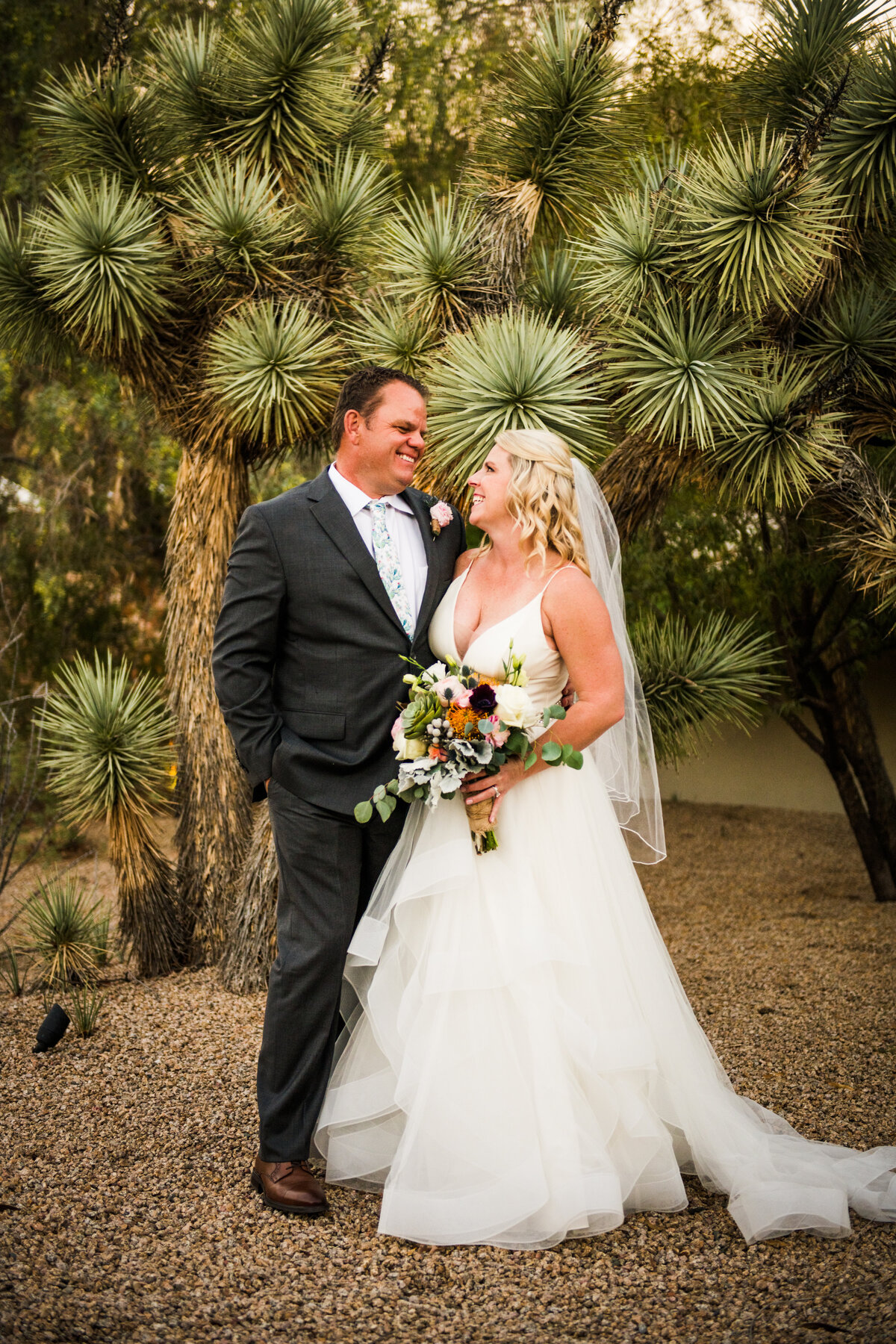 Bride and Groom in desert Phoenix wedding photography cacti