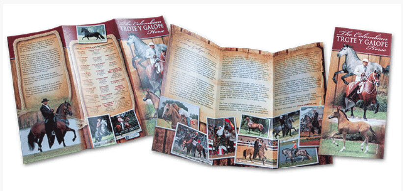 trote y galope horse brochure design