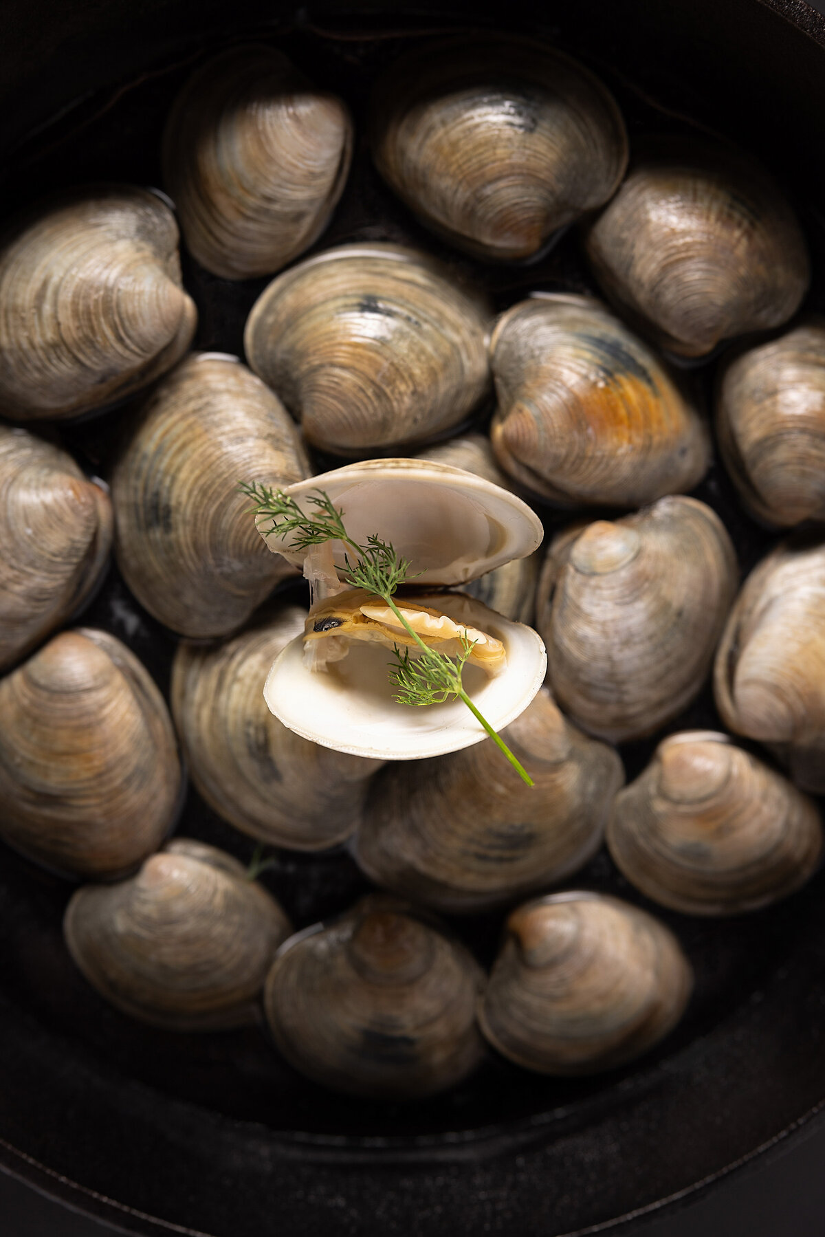 Oysters laid out in a pan