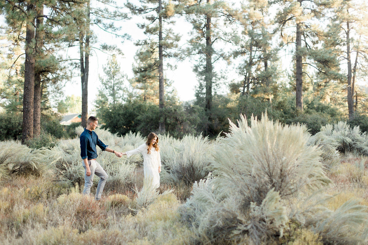 Brigitte and Dan's Southern California Engagement Session