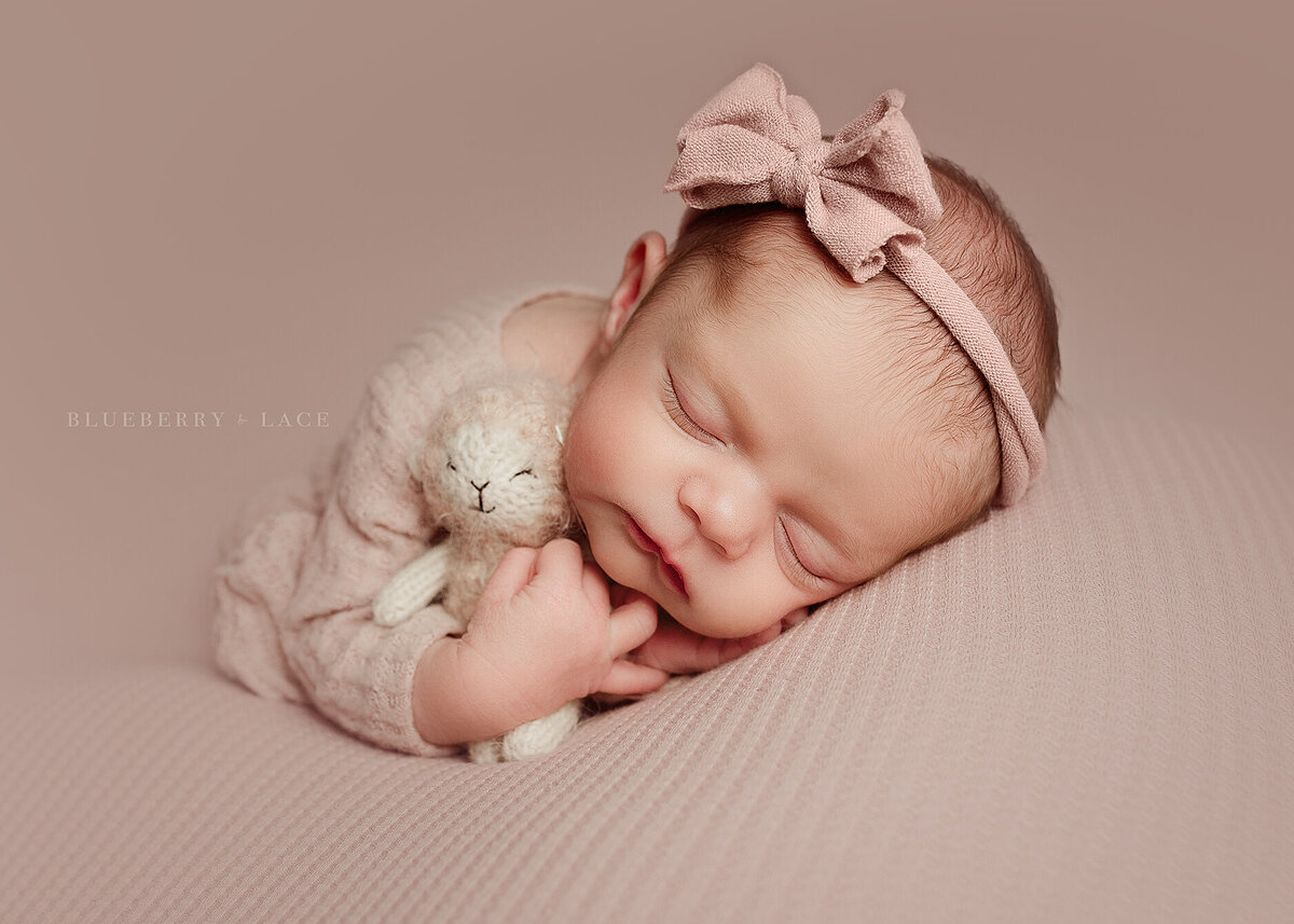 Syracuse ny newborn sweet newborn girl wearing pink and holding the cutest little snuggly lamb