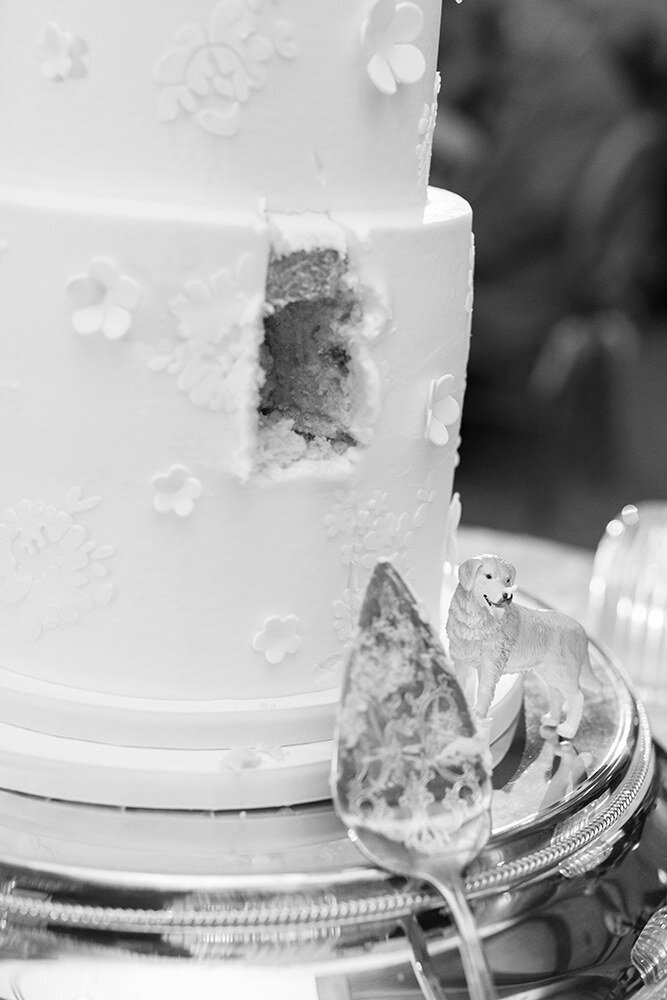 alfond-inn-wedding-212