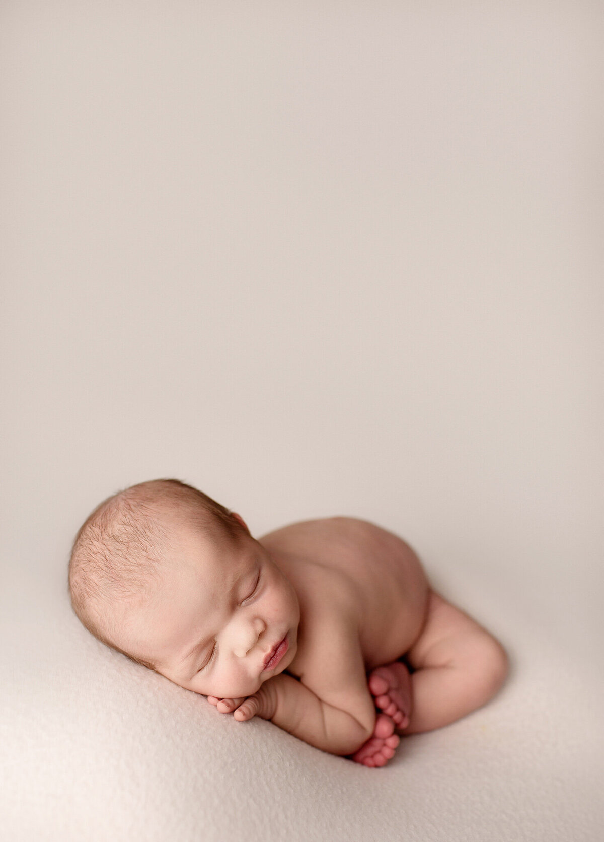 newborn photos in fort collins studio with simple cram backdrop