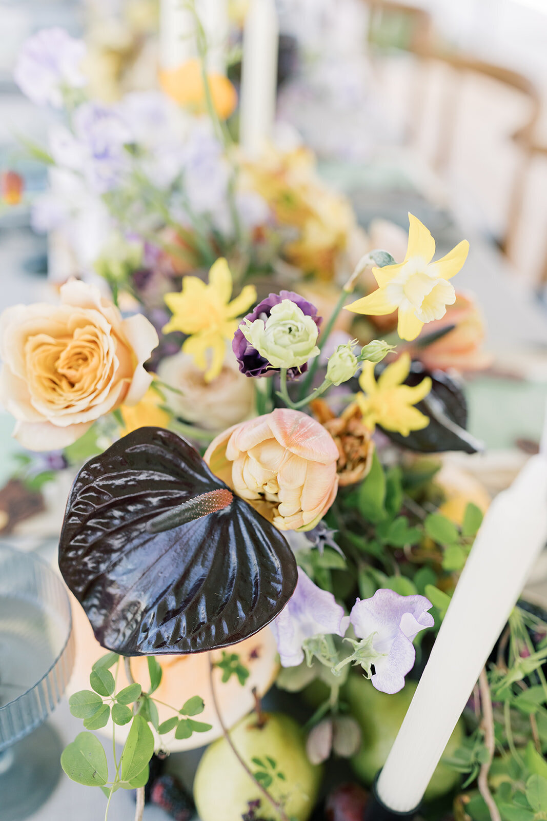 Cora Jane Photography-Love Lab 2024-25