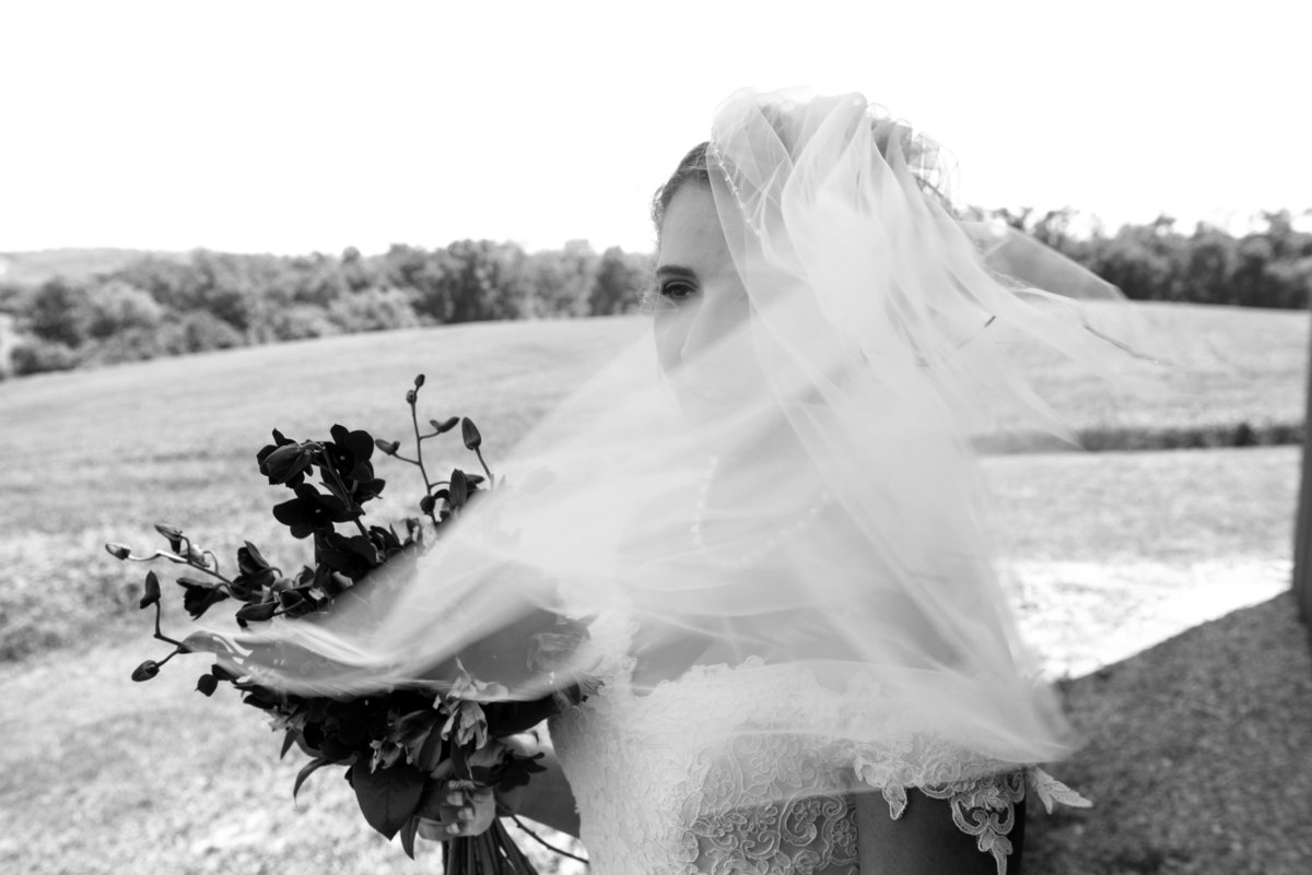wind sweeps brides veil