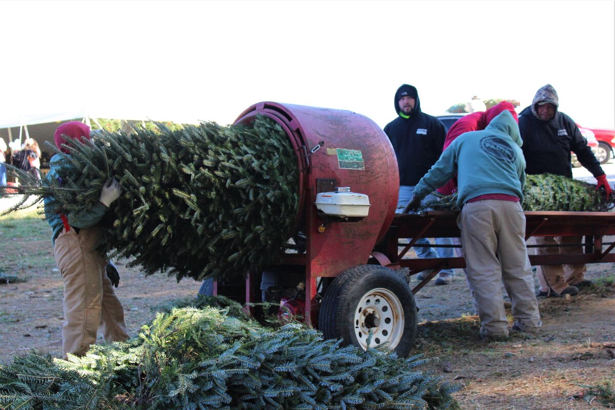 Appalachian Christmas Mountain Farms