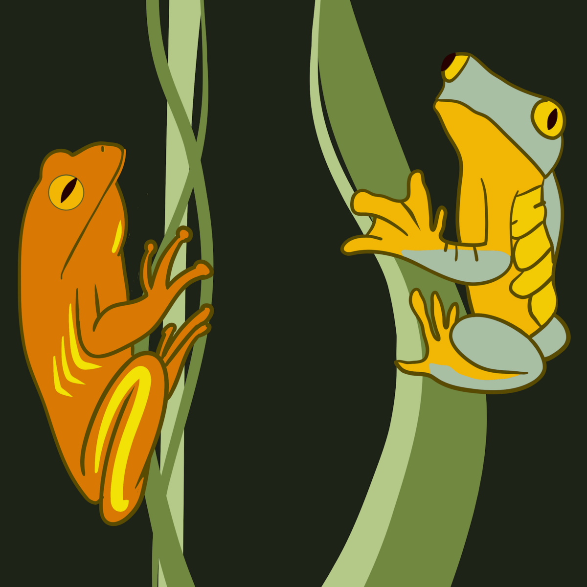 Frogs-2024-Square-72