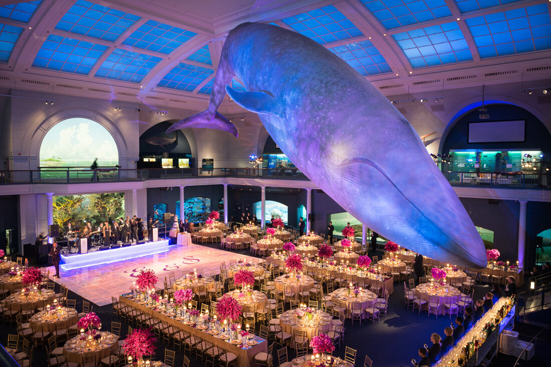 NYC Museum of Natural History Wedding Reception TTWD
