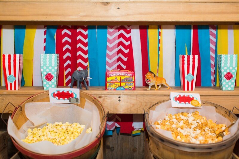 Circus Themed 1st Birthday Indianapolis Party Planner_0095