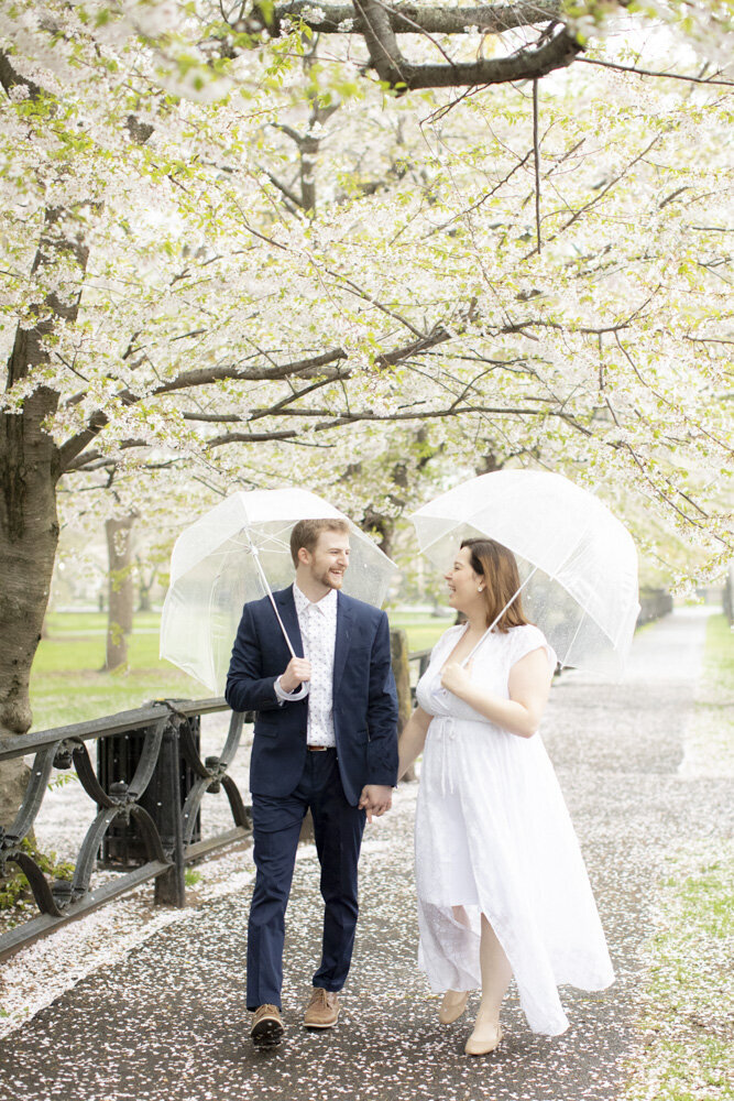 couple walking with clear umbrellas in spring family photoshoot