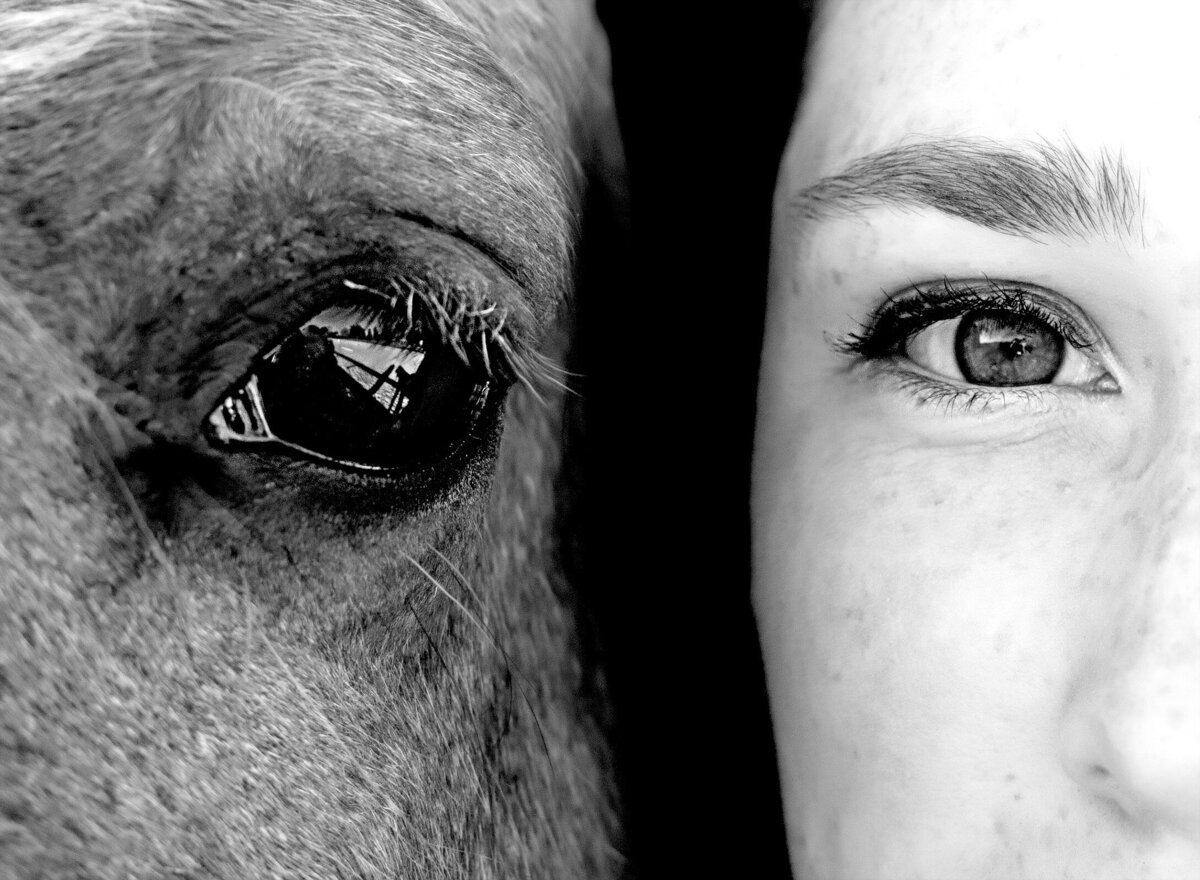 Horse Eye High School Female Eye