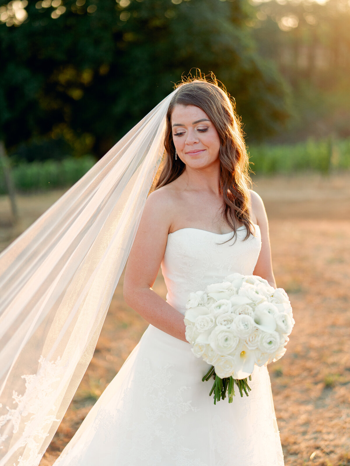 stefaniebendtphotography-526