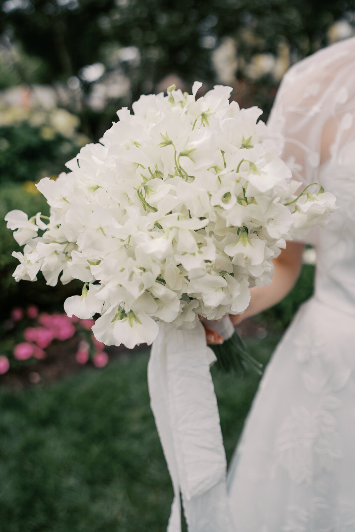 capemayphotographer-32