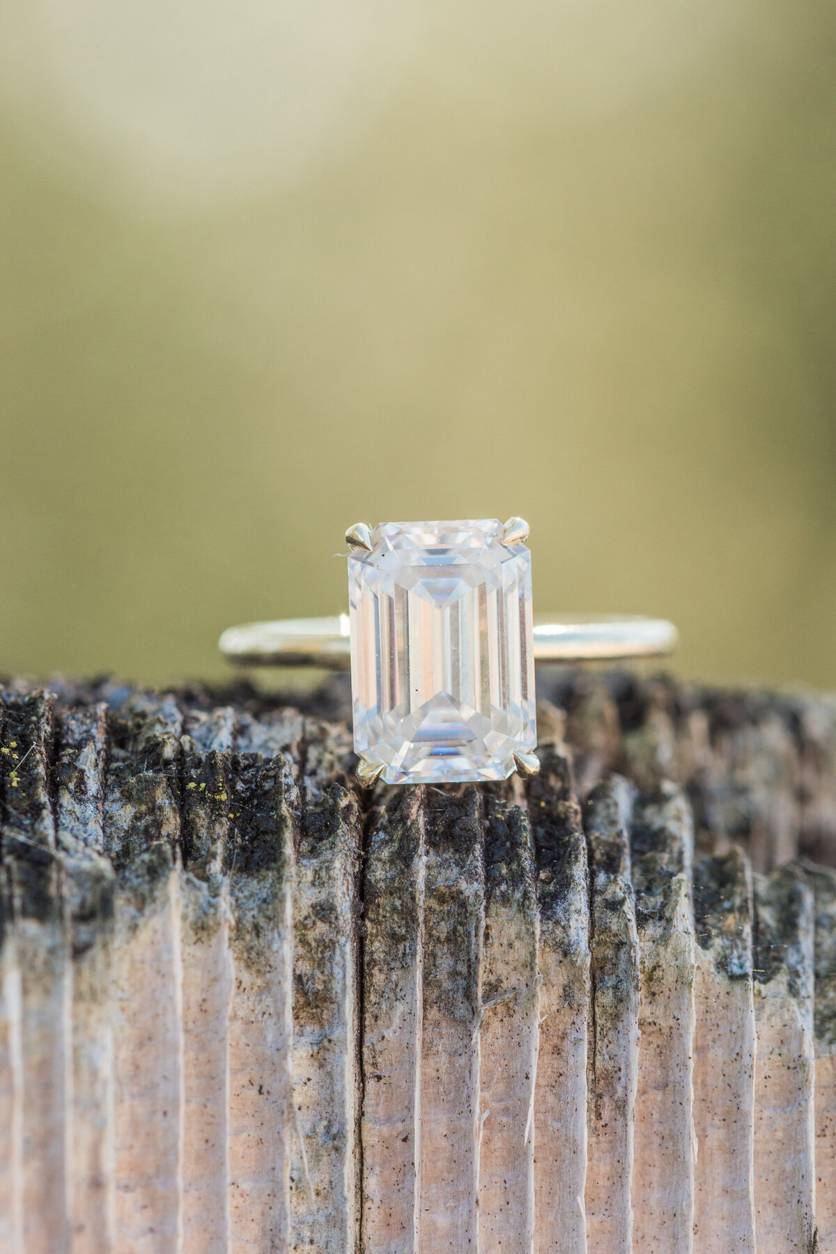 LillieMaePhoto-Hannah&BrandonEngaged-67
