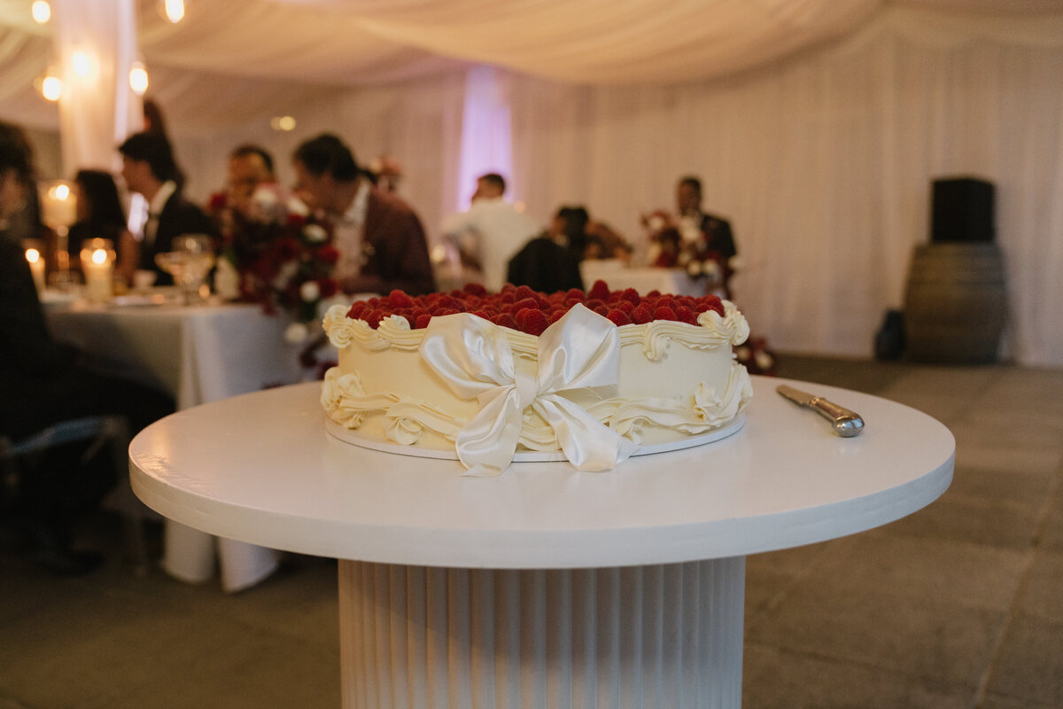 Melissa Clark Photography - Queenstown Wedding Photographer - Rippon Estate Wedding - Neeta & Shravan-1238