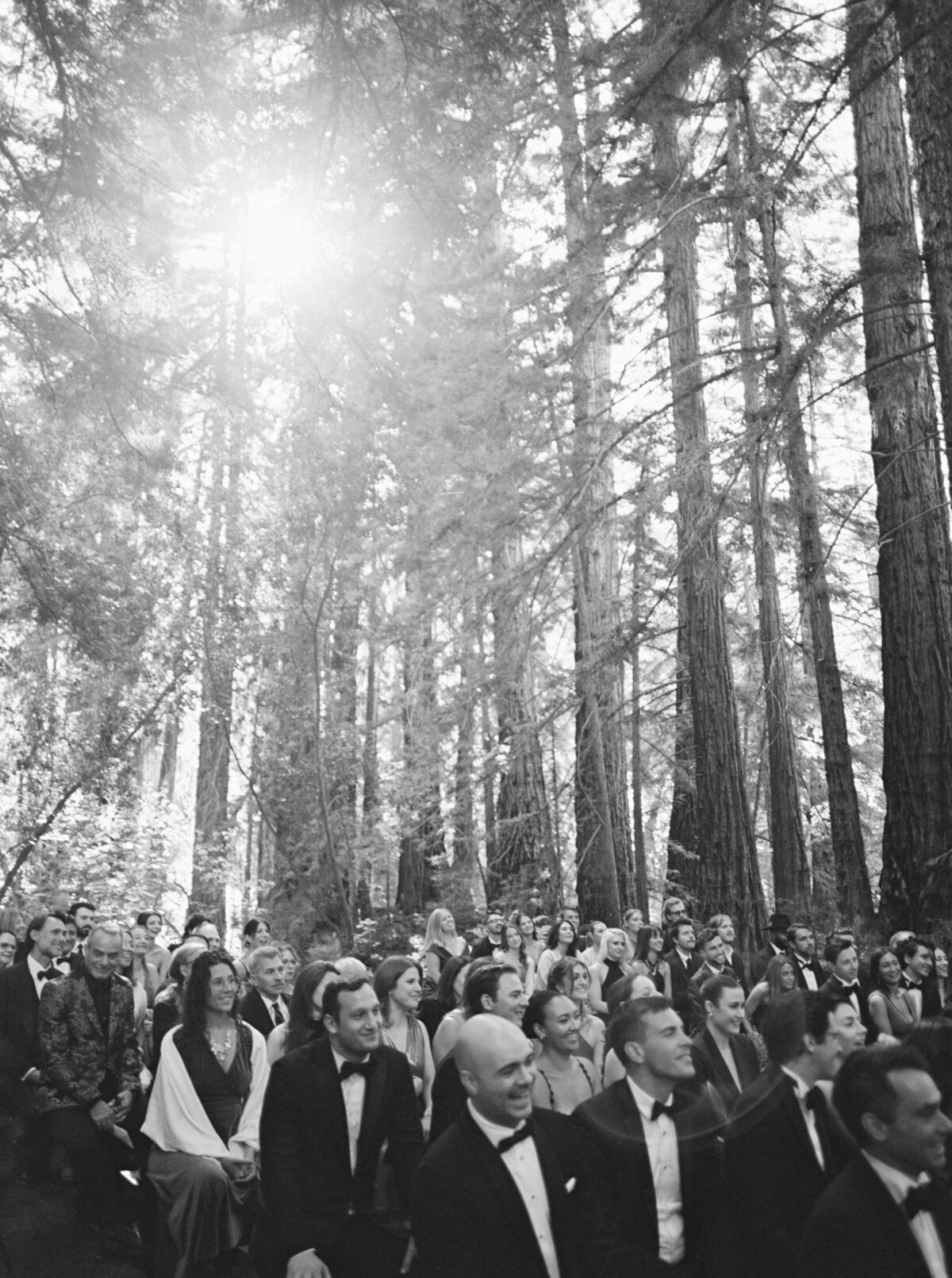 Guests at a Ceremony in the Redwood Grove at the Preserve