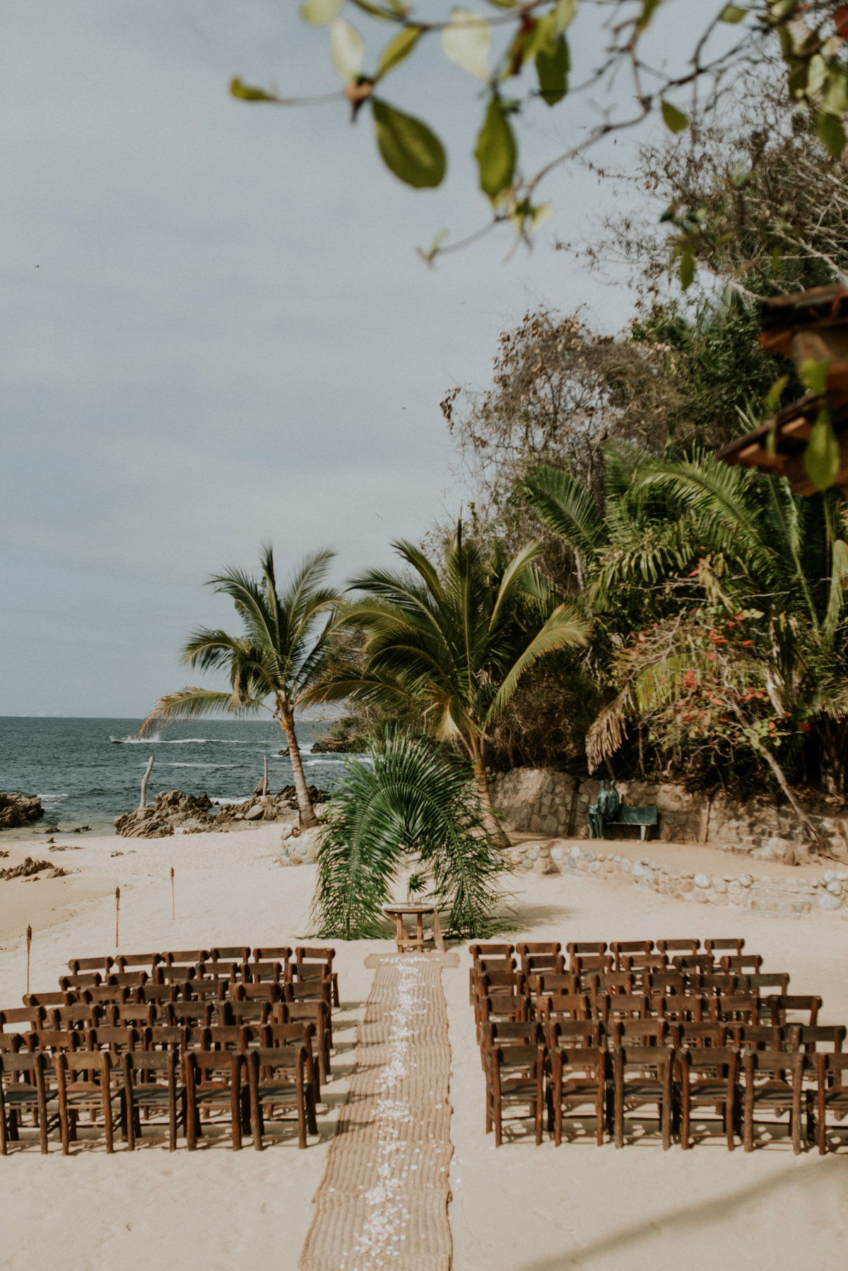 Shelly Anderson Photography