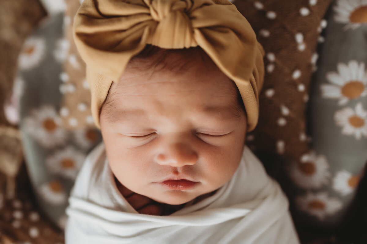 russellville arkansas newborn photographer 9