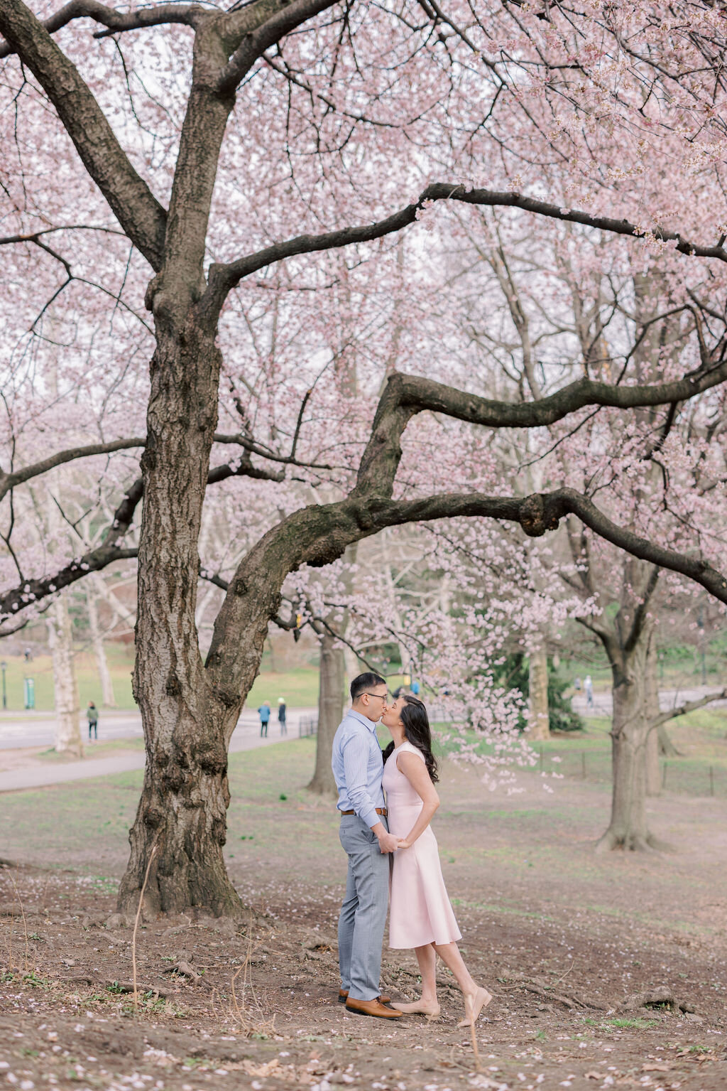 Central Park Cherry Blossom Engagement session 0423