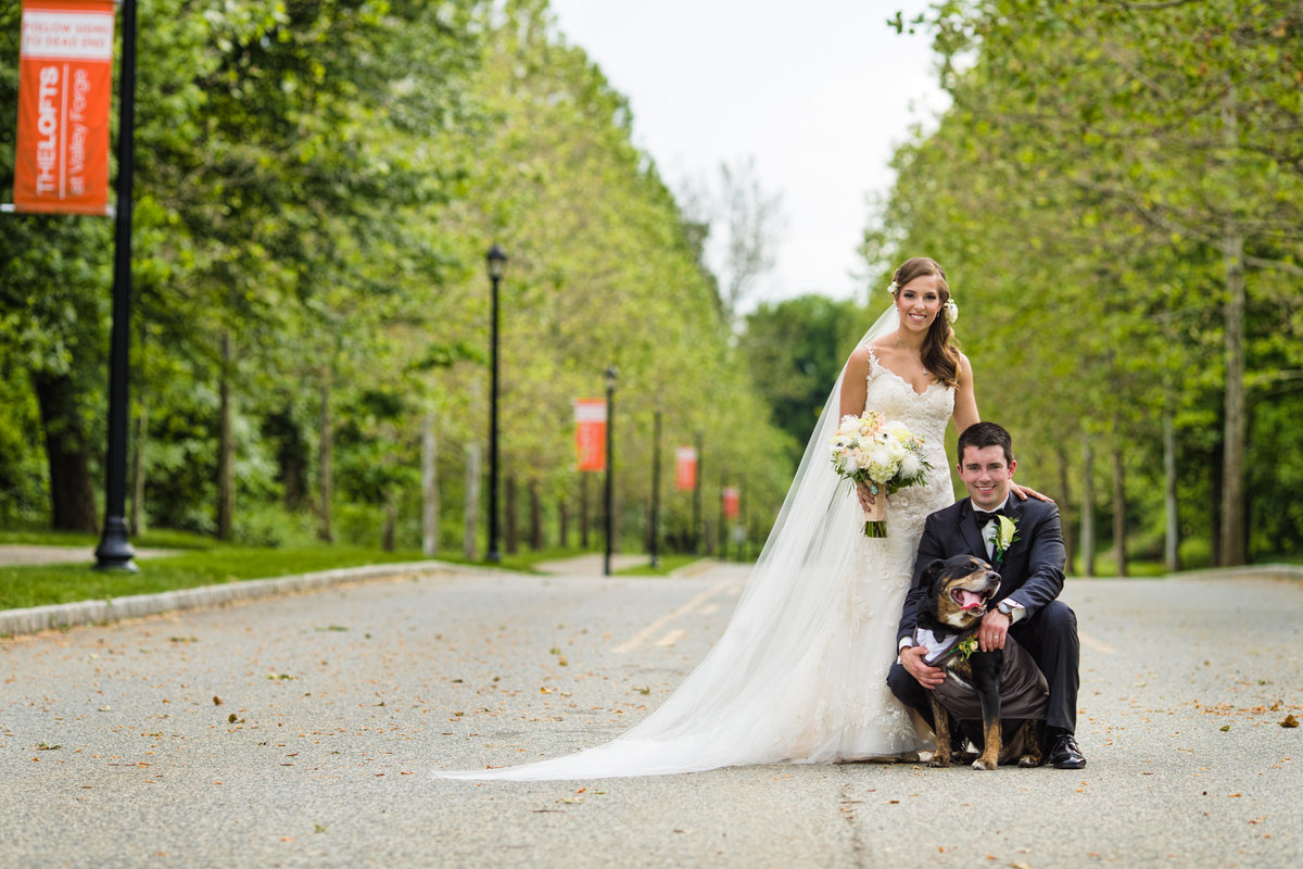 Bride and groom with dog as best man on pathway in park for wedding day portrait session