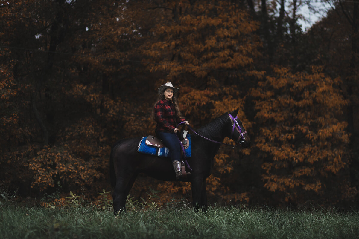 Horse-horse photographer-medina-ohio-akron-west salem-equestrian -equine-farm-ohio farm