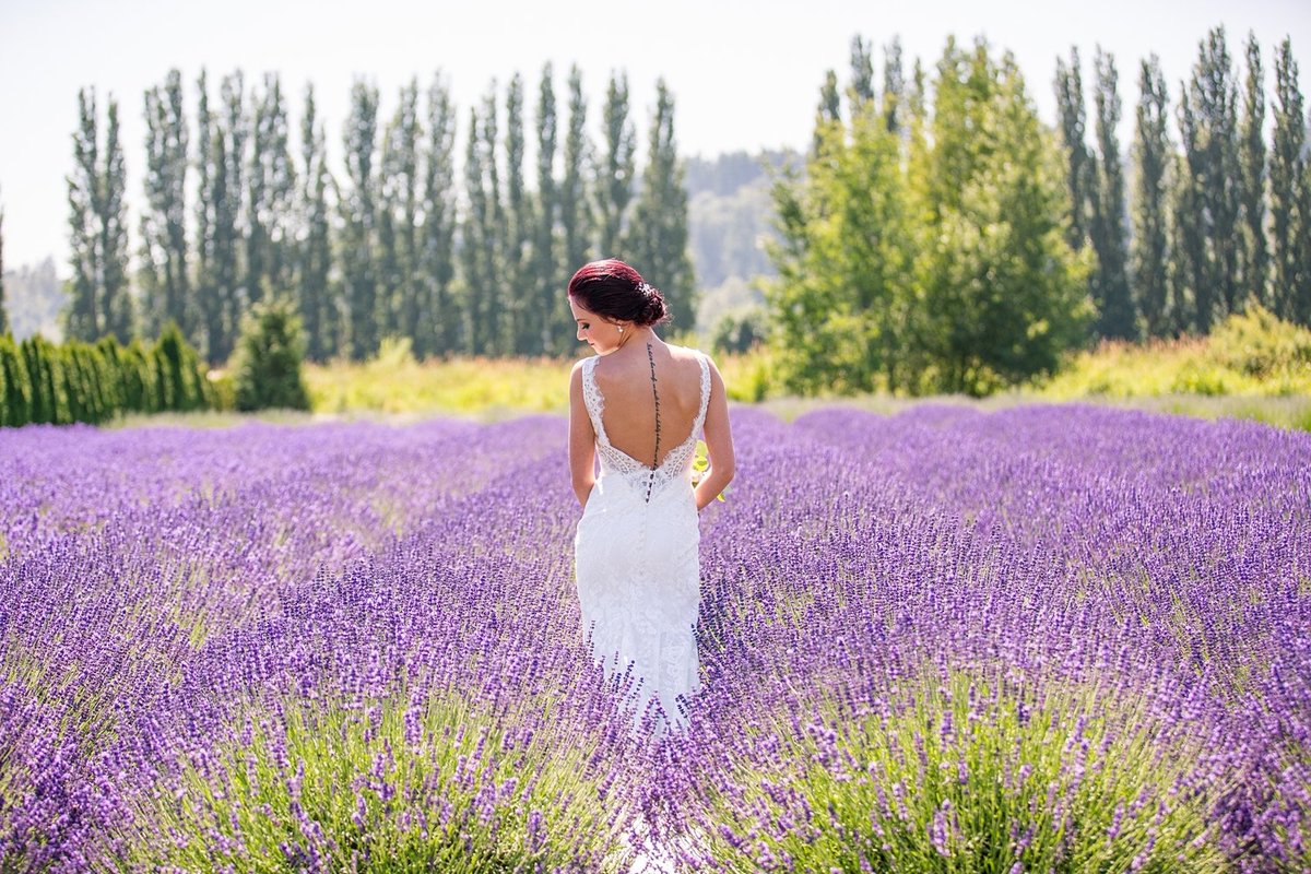 Woodinville-Lavender-wedding-DBK-Photography-049