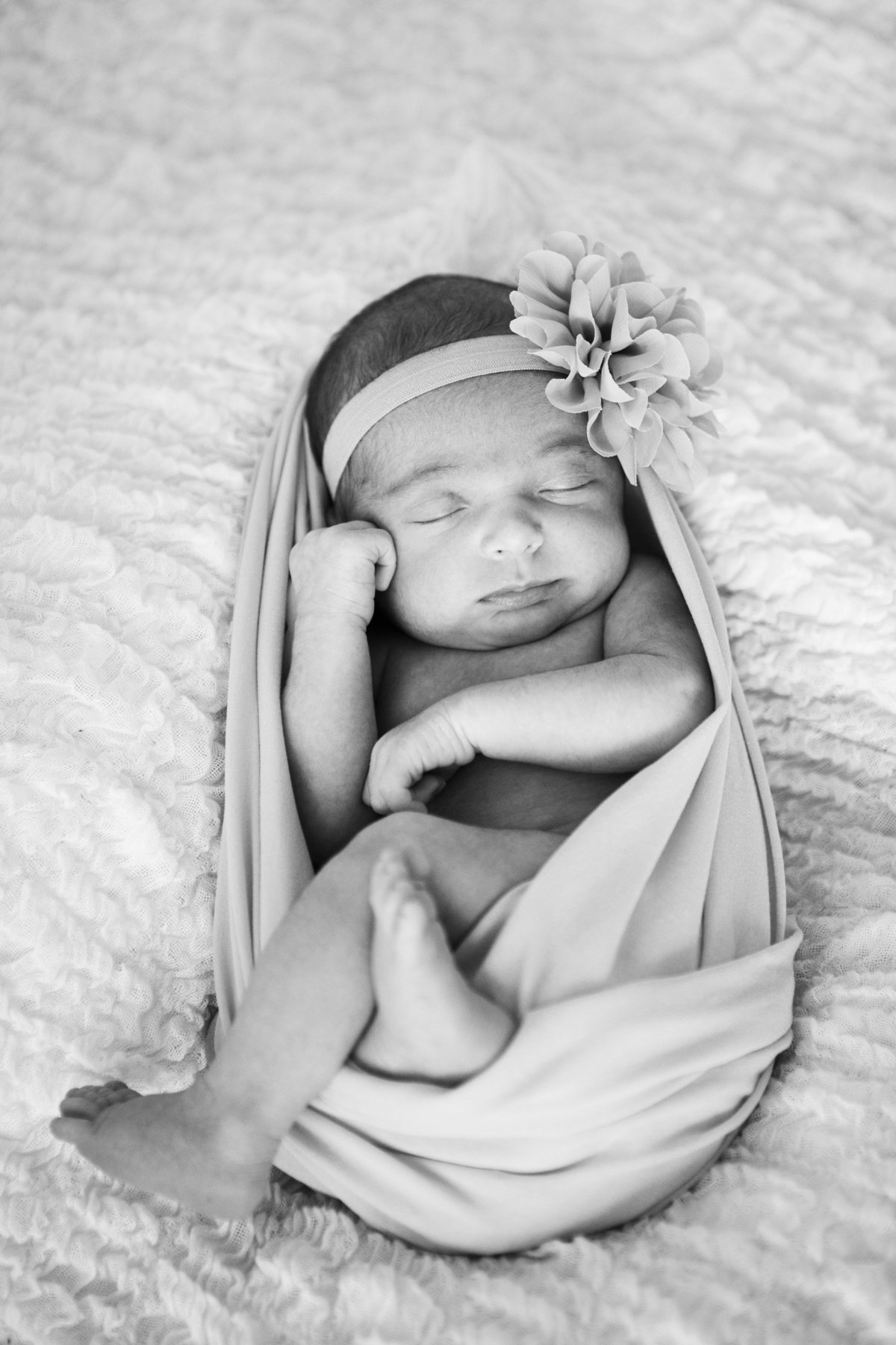 Pittsburgh Newborn Photographers-8
