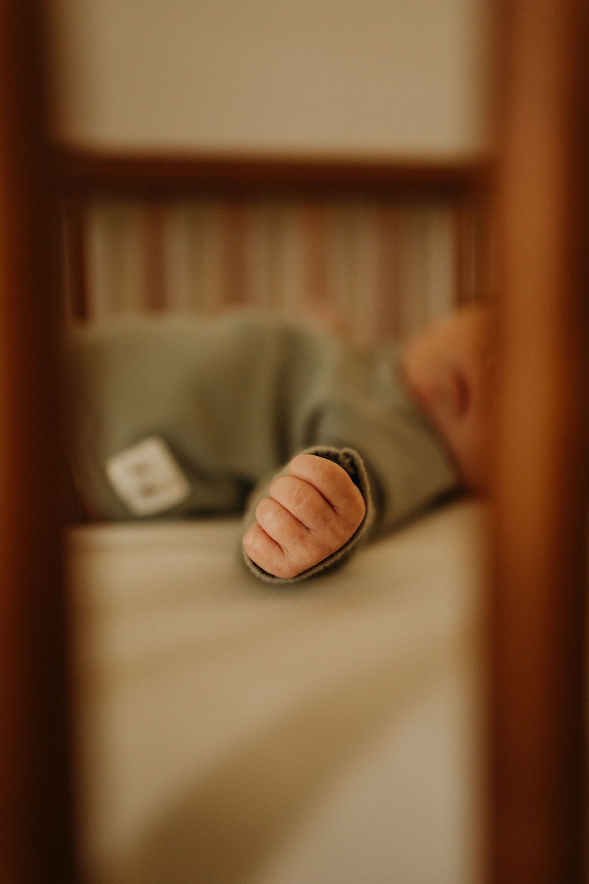 North Alabama newborn photo