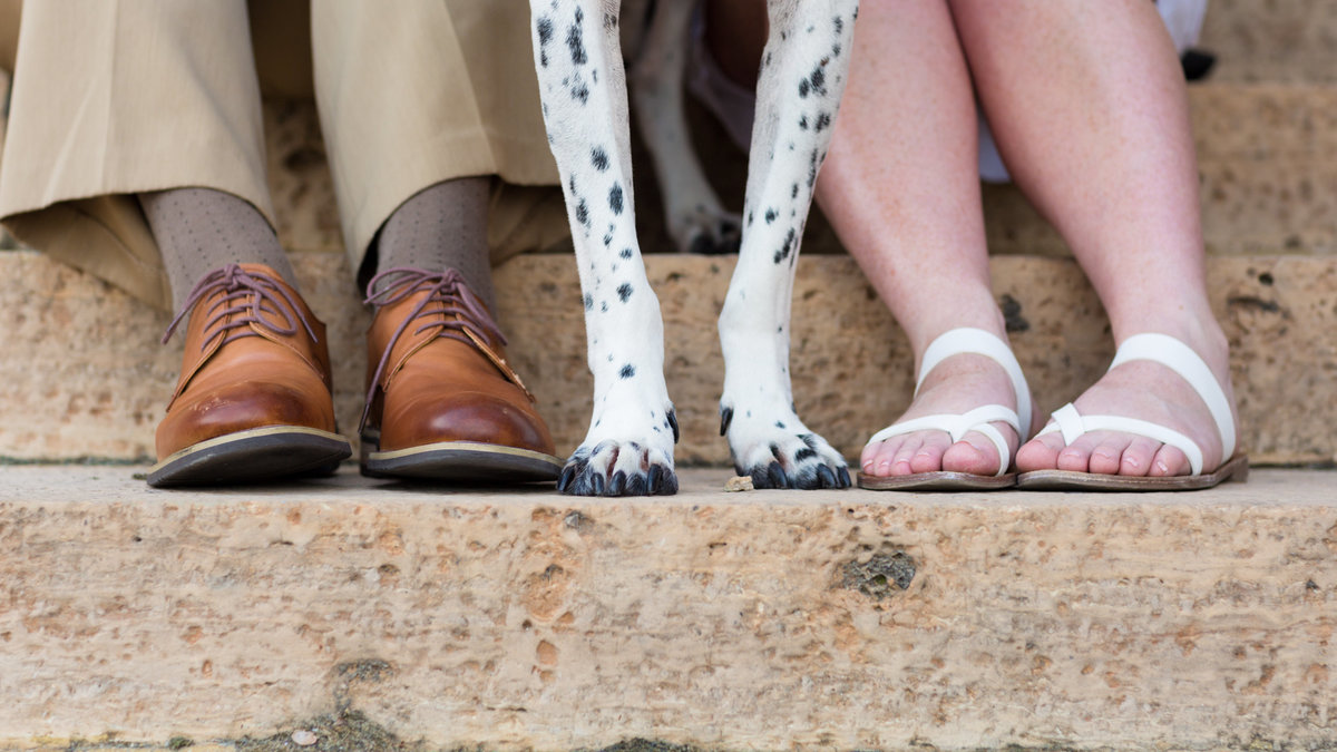 Engagement session with dog just the feet