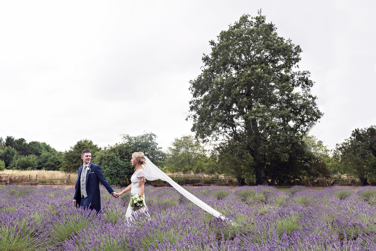 A Bride and Groom in the Lavender Fields