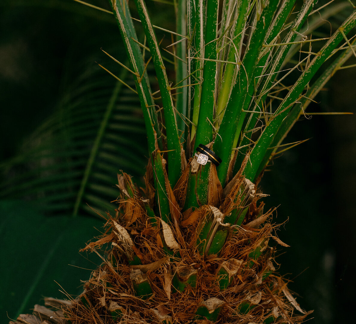 mexico-wedding-bridal