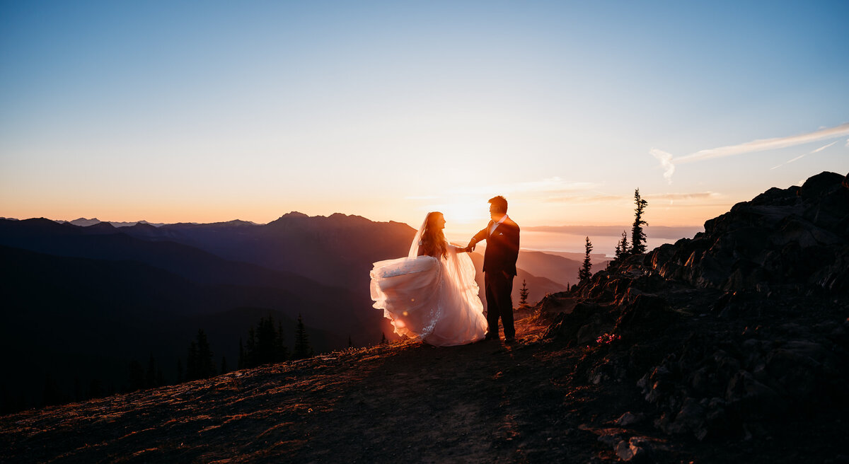 Olympic National Park Washington State Hurricane Ridge Wedding and Elopement Photographer