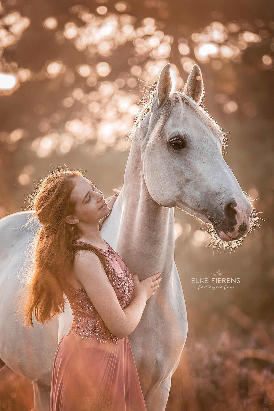 paardenfotografie - heidefotografie - romantische paardenfoto