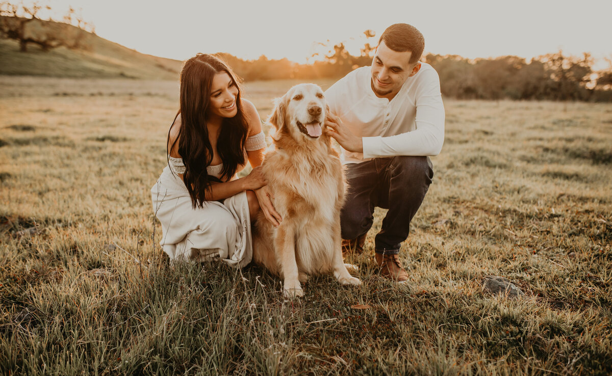 Sunset engagement photos with dog in California