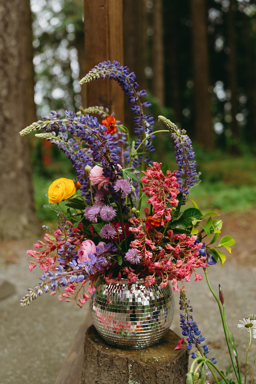 Sea-Cider-Farm-Wedding-5
