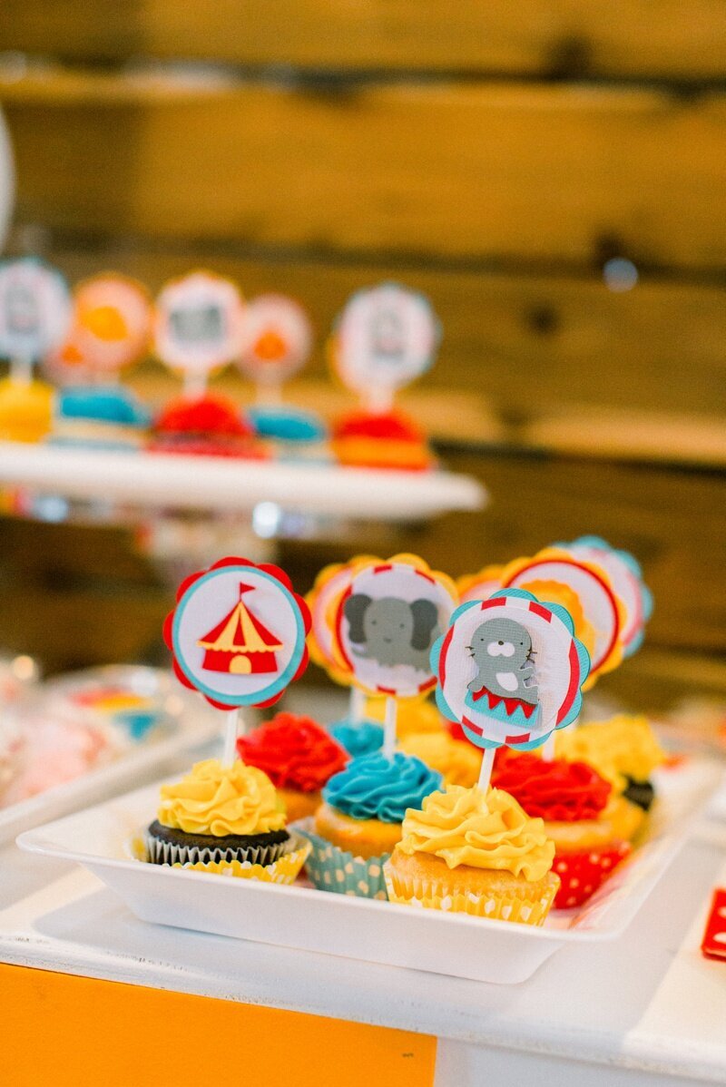 Circus Themed 1st Birthday Indianapolis Party Planner_0068