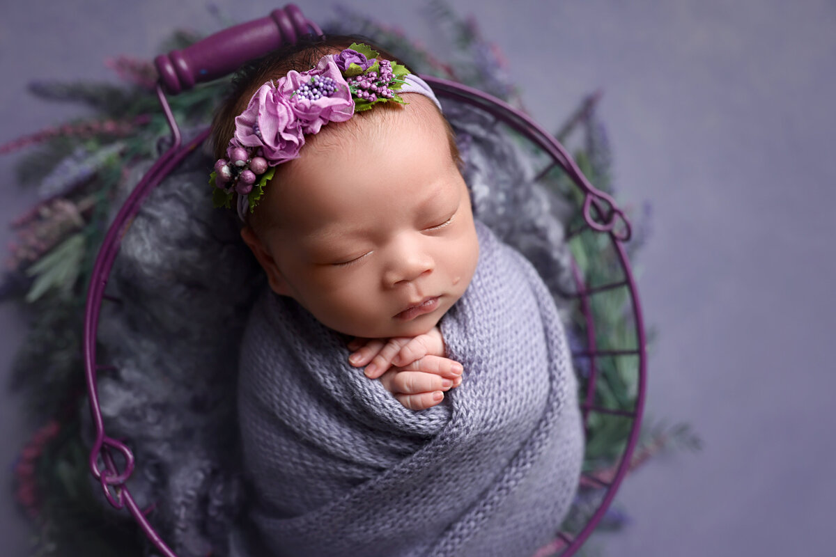 Charlotte Newborn Pictures Purple