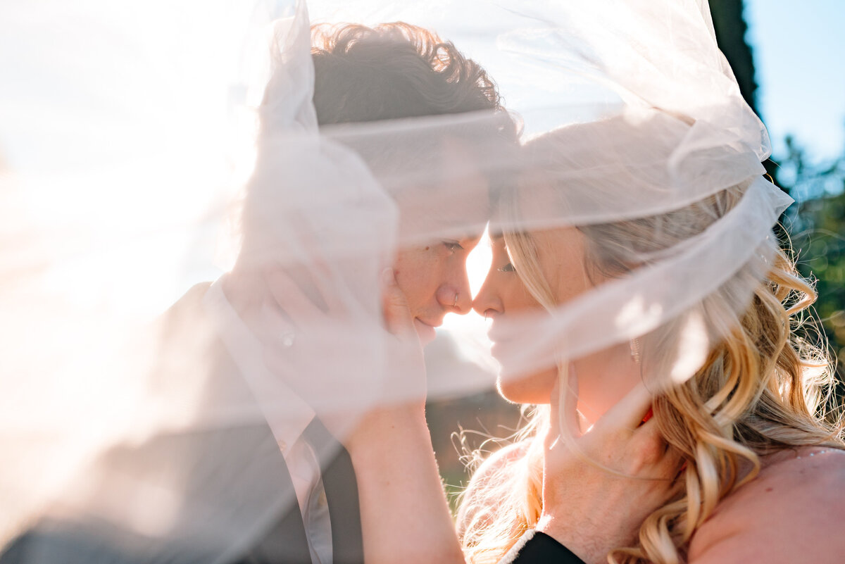 bride and groom touch each other faces and noses, under the brides veil.