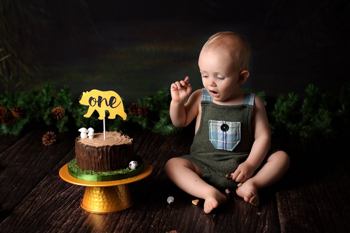 12 month old boy in woodland theme cake smash