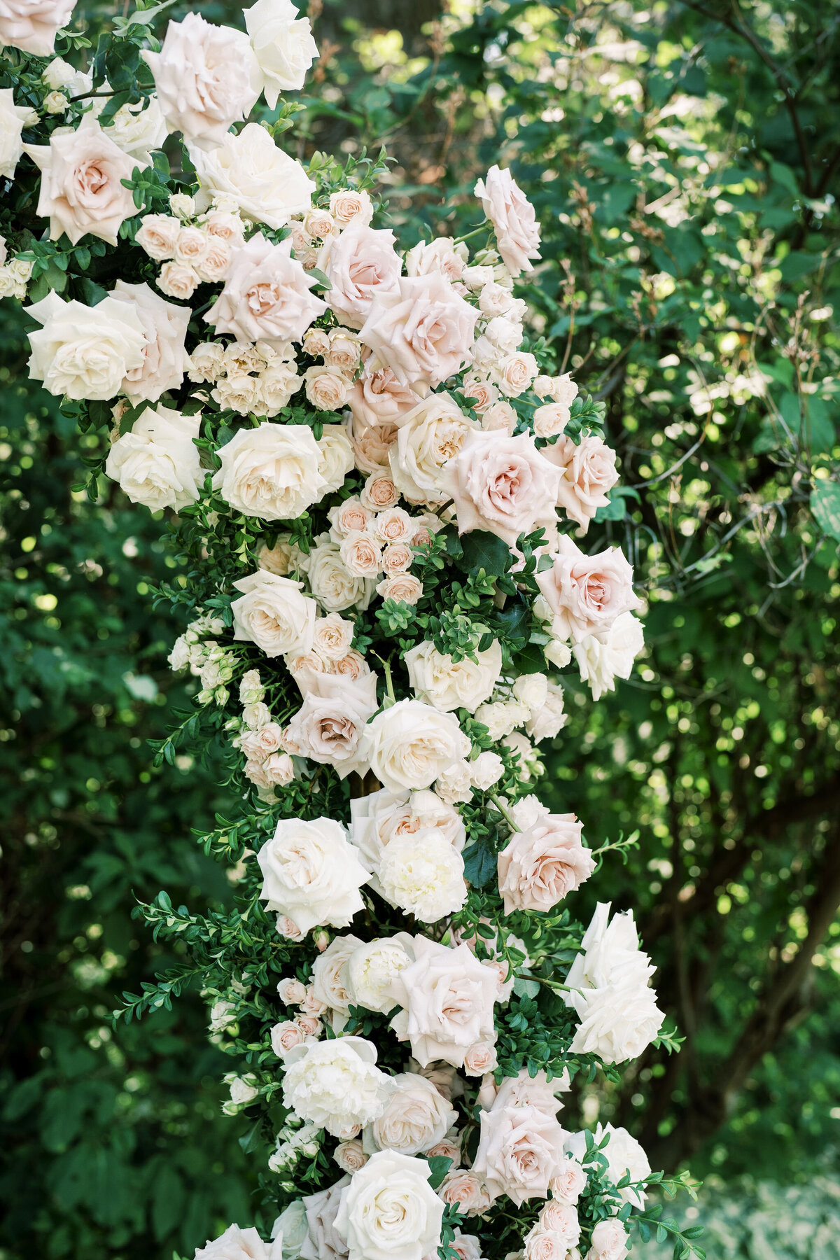 blush-white-rose-flower-arch-installation-norland-estate
