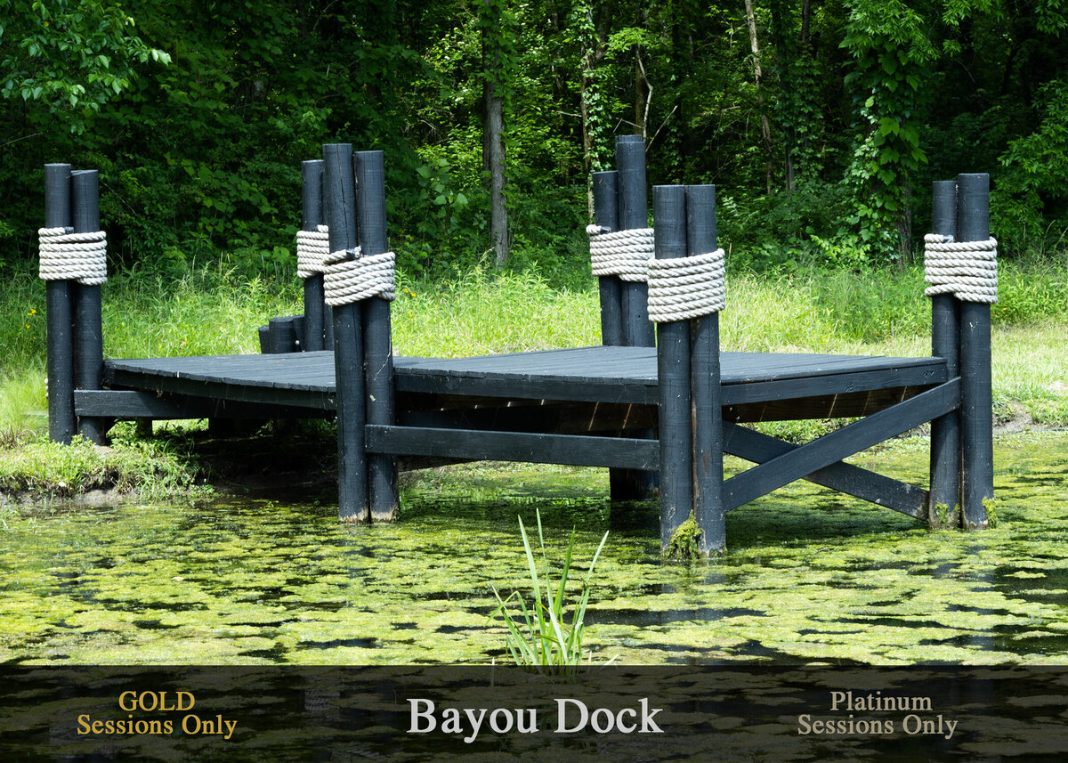 Bayou Dock sessoins 