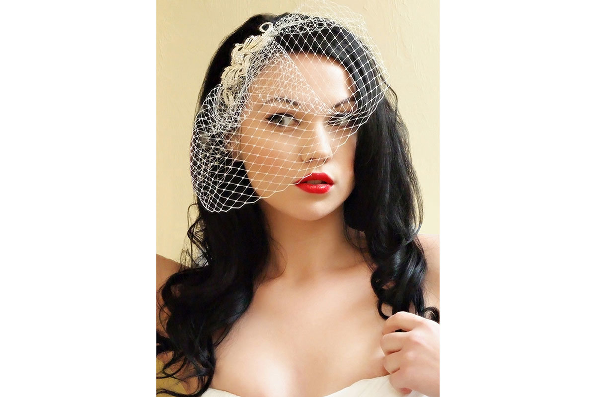 bird cage veil wedding photo